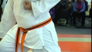 Johnson Martial Arts and Fitness - Kids Sparring 5