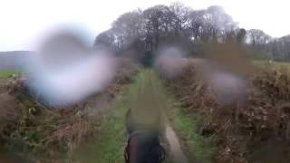 Woah Shamrock! Rider loses control of retired racehorse.