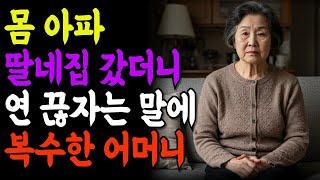 자식에게 연 끊자는 말 듣고… 내가 먼저 끊었습니다 | 유산상속 | 노인복지 | 노후사연 | 오디오북