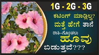 1G-2G-3Gಕಟಿಂಗ್ ಮಾಡ್ಲಿಲ್ವಾ? ಗಿಡಗಳು ಹೆಚ್ಚಿಗೆ ಹೂ ಬಿಡೋಲ್ಲ#marysmanegarden  #dasavalaflowerplant