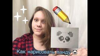 Как нарисовать панду  по клеткам!