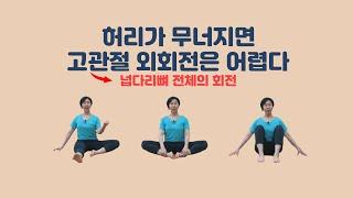 [ 마름모코어 시즌 3-12 ] 엉덩관절(고관절) 외회전은 넙다리뼈 전체의 움직임 / Hip External Rotation: Movement of the Entire Femur