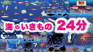 【子供が喜ぶ水族館】海の生き物アニメ詰め合わせ24分！お魚さんたちが大集合！さかなの名前ずかんクジラ・サメ・イルカ・タコ・ペンギン・ウミガメ未就学児向け教育｜Fish気分はスキューバダイビング