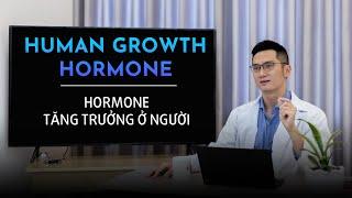 [KIẾN THỨC Y KHOA] Tập 5: HUMAN GROWTH HORMONE | HORMONE TĂNG TRƯỞNG Ở NGƯỜI