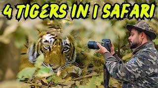 Saw 3 Tigers on Entry Gate of Ranthambore Zone 3 | Ranthambore safari | Ranthambore best zone