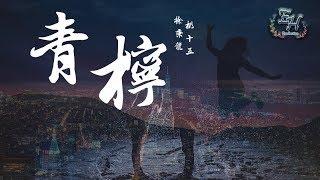 徐秉龍、桃十五 - 青檸『到達直通你心門的方向~』【動態歌詞Lyrics】