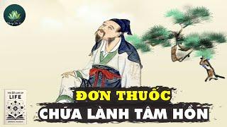 27 Câu Chuyện Trí Tuệ | BÀI HỌC CUỘC ĐỜI VÀ ĐƠN THUỐC CHỮA LÀNH TÂM HỒN |  PHÁP TA BÀ