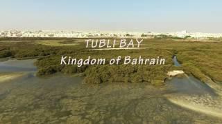 محمية رأس سند في خليج توبلي - البحرين Tubli Bay - Bahrain