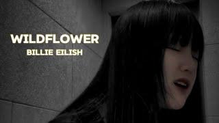 Billie Eilish - WILDFLOWER (Cover by KIM VVUP)