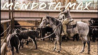 Horse trading on the ranch #horses #ranch #deerhunting