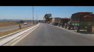 Driving car - Annaba Algeria - 26/07/2024 #algeria #annaba #driving