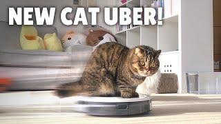 My Robot Vacuum Transformed into a Cat Uber! | Kittisaurus