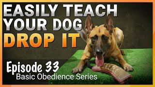 Easily Teach Your Dog The Drop It Command.