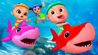 Baby Shark | Baby Shark Doo Doo Doo Dance + More | Super Sumo Nursery Rhymes & Kids Songs
