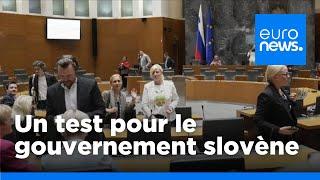 Élections européennes  : un premier test pour le gouvernement slovène | euronews 