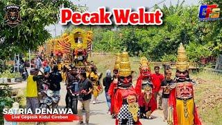 Pecak Welut | SATRIA DENAWA | Arak Arakan Singa Depok Dangdut