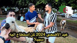 اجواء عيد الأضحى 2024 في الجزائر  شاهد ماقال الشعب على غلاء الأسعار هاد العام ! الزوالي ماعيدش