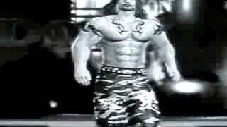 Shawn Helms svr 2008 entrance