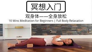 【10分钟冥想入门 | 观身体】全身放松 10mins Meditation for Beginners | Full Body Relaxation