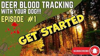 Blood track deer with ANY dog!  Introduction and overview.