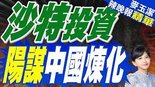 沙特投資 陽謀中國煉化｜苑舉正.張延廷.介文汲深度剖析?【麥玉潔辣晚報】精華版  @中天新聞CtiNews