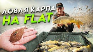 ВЕСЕННИЙ КАРП В КАМЫШАХ НА FLAT ФИДЕР! Рыбалка 2022!