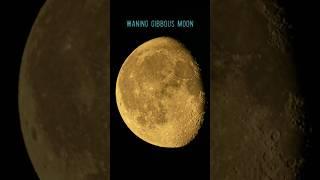 Waning Gibbous Moon #shorts