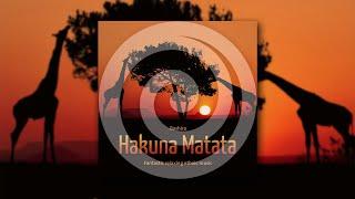 Hakuna Matata: Fantastic relaxing ethnic music (RelaxLounge.TV)