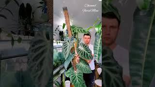 10 мая 2024 г.