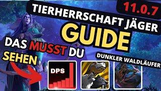 11.0.7 WOW Dieser DMG! Dunkler Waldläufer TWW Tierherrschaft Jäger M+ /Tiefen  und Raid Guide #wow