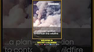 Firefighters perform planned ignition to rein in Columbian Wildfire | WION Shorts
