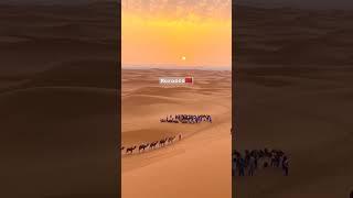 Morocco desert safari #travel #morocco