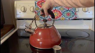 Whistling Willow & Everett Tea Kettle With Tea Strainer