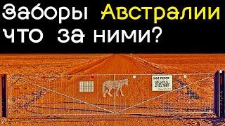 Загадки заборов Австралии.