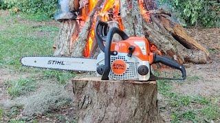 Stihl MS170 torture test. Is a $200 chainsaw worth buying?