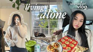 living alone diaries  | my first day unemployed: cooking, trying new matcha & drive-thru snacks