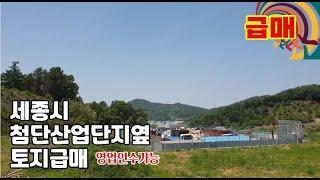 세종시 4차선 도로옆토지 초급매!