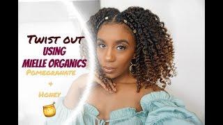Defined Twist Out Type 4 hair |Mielle Organics Pomegranate and Honey Collection