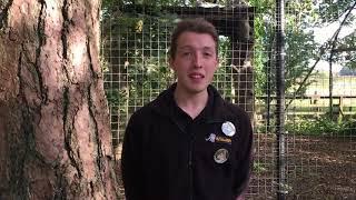 Meet Our Graduates - Jack Williams, BSc Zoo Management