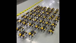 Bittle AI Robot Dog Army Responding to Remote Control Commands | Petoi Camp