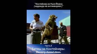 "Контейнер из Нью-Йорка (надежда на антиквариат)" Часть 2 Битвы за Контейнеры #аукцион #сша.