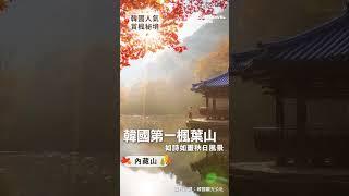 2024韓國秋季賞楓旅遊