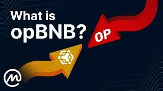 What Is opBNB? BNB Chain's Optimistic Layer 2 Chain Explained!