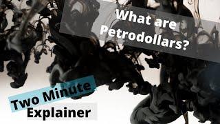 What are Petrodollars? Why do Petrodollars Matter?