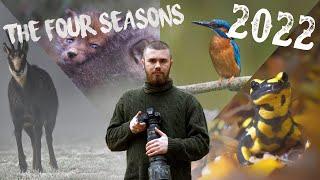 My four Wildlife Photography Seasons of 2022