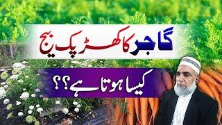 How to prepare own seed of Carrot || Crop Reformer