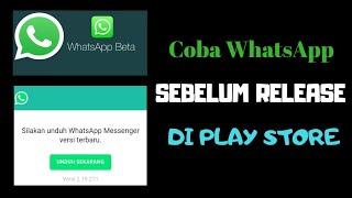 Cara Mendapatkan WhatsApp Versi Beta