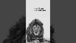 ATTITUDE