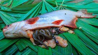 Unbelievable Snakes Found In Big Fish Stomach - Cooking Big Fish Salad In Forest