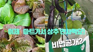 솔림배양토 유튜브 등장!  흙의 자유를 얻다.